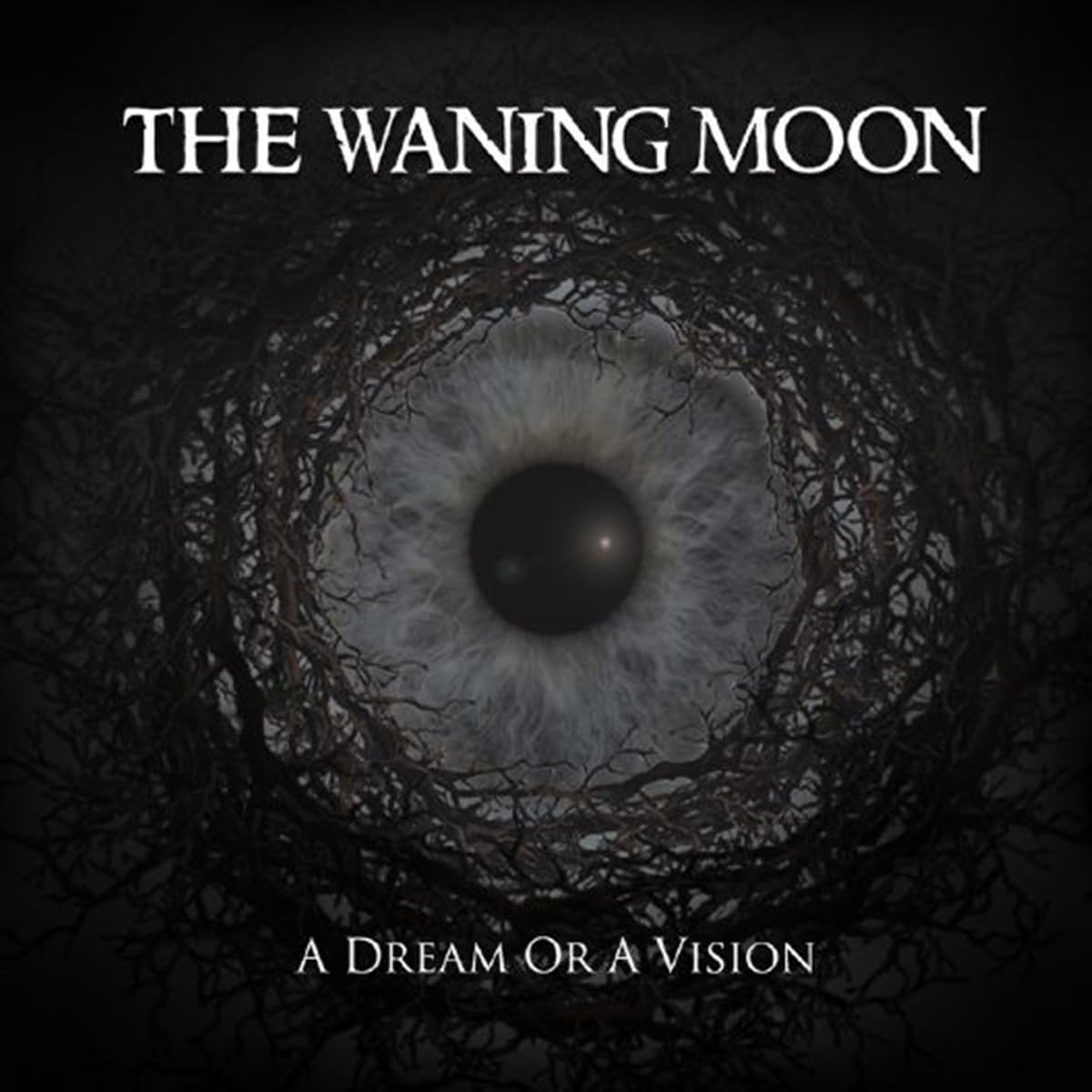 A Dream Or A Vision