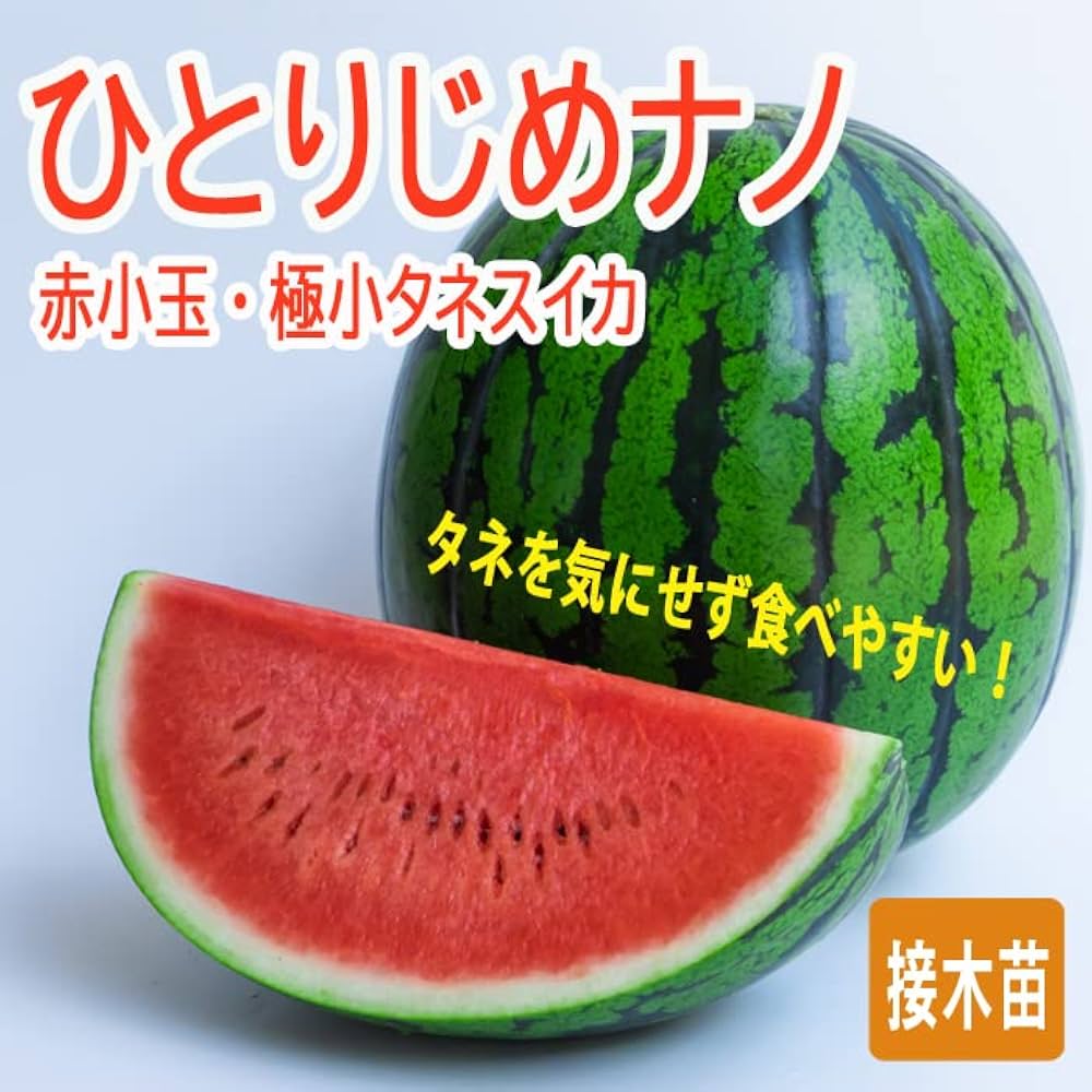 Amazon.co.jp: 接木 野菜 苗 ひとりじめ ナノ 極小種子 赤小玉すいか