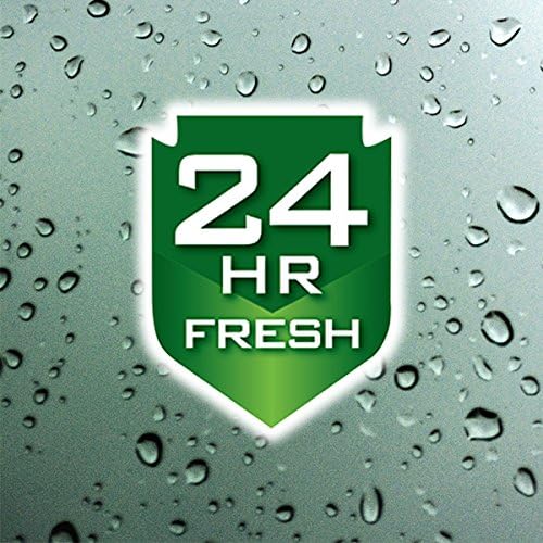 Irish Spring Body Wash Pump, Original, 32 fluid ounce