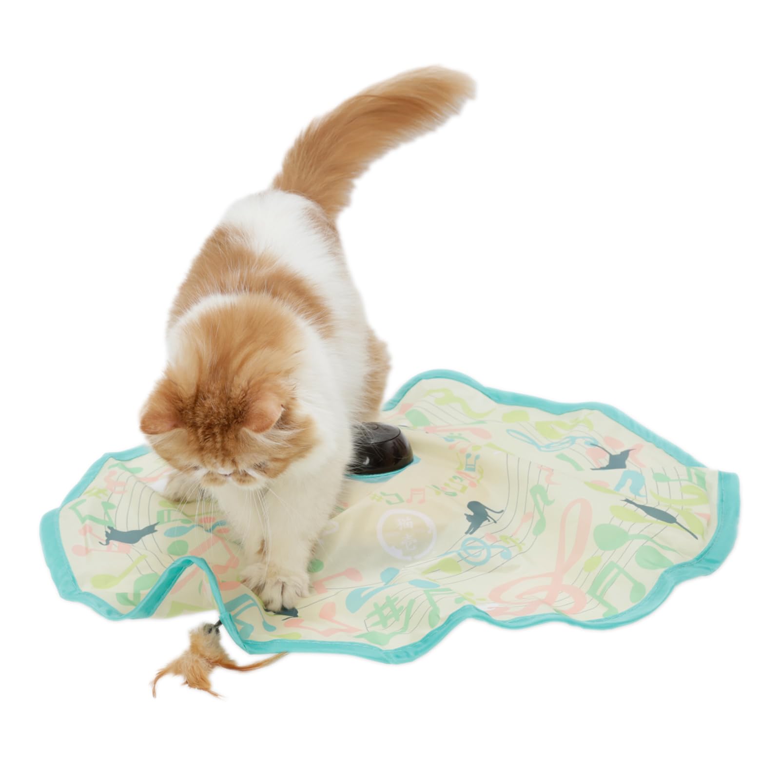 Amazon.co.jp: 猫壱(necoichi) キャッチ・ミー・イフ・ユー・キャン2