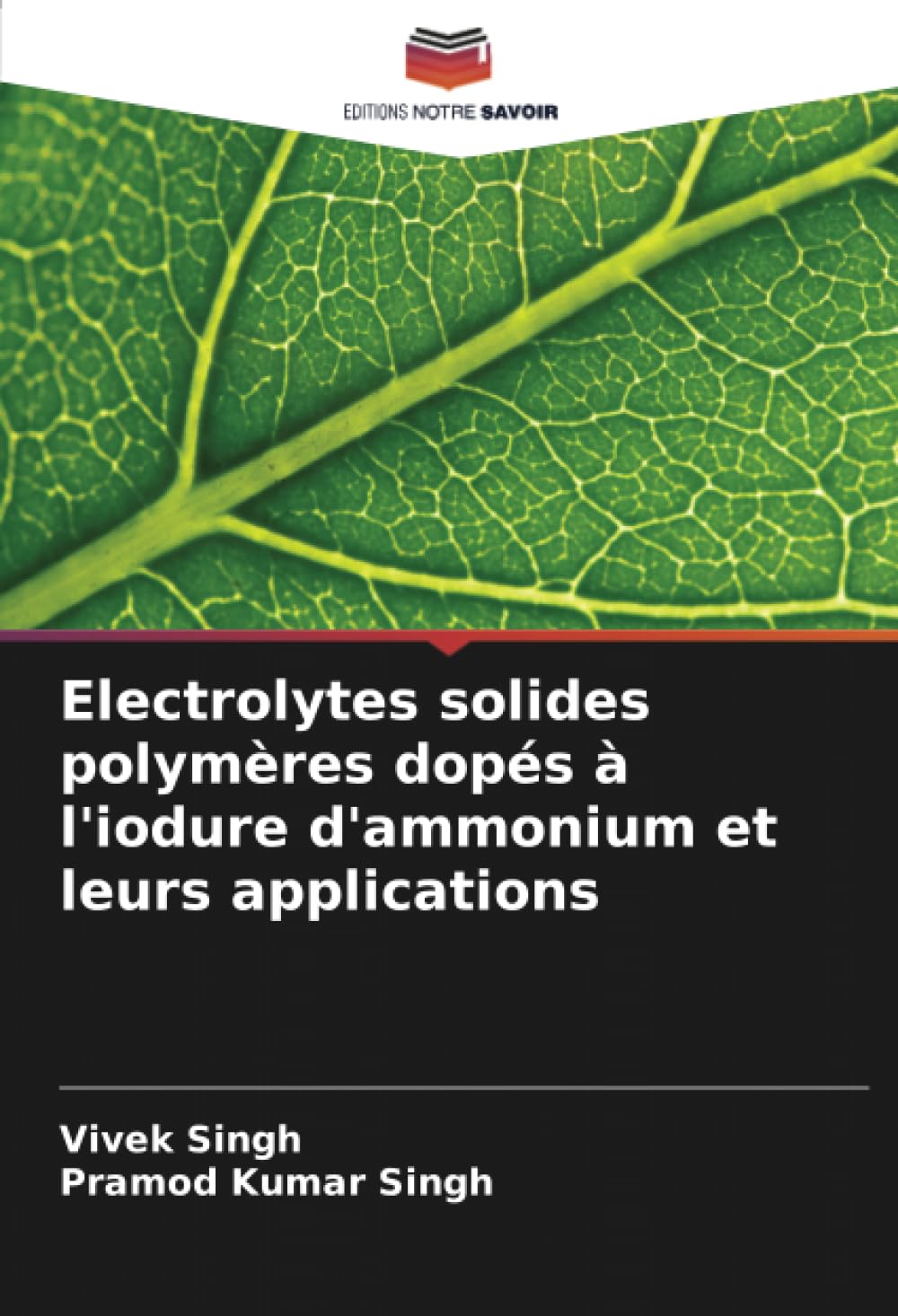 Electrolytes solides polymères dopés à l'iodure d'ammonium et leurs applications