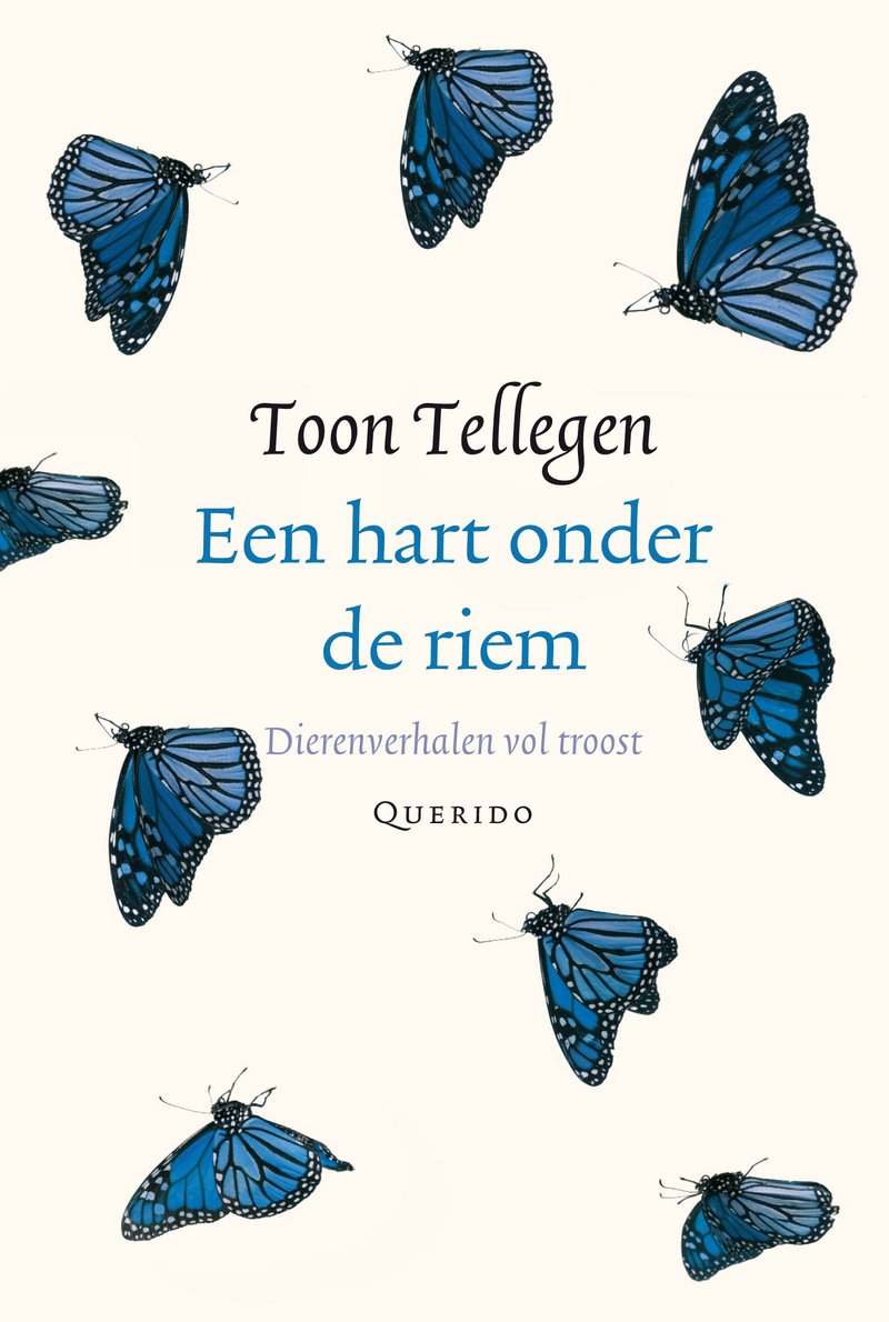 Een hart onder de riem: dierenverhalen vol troost