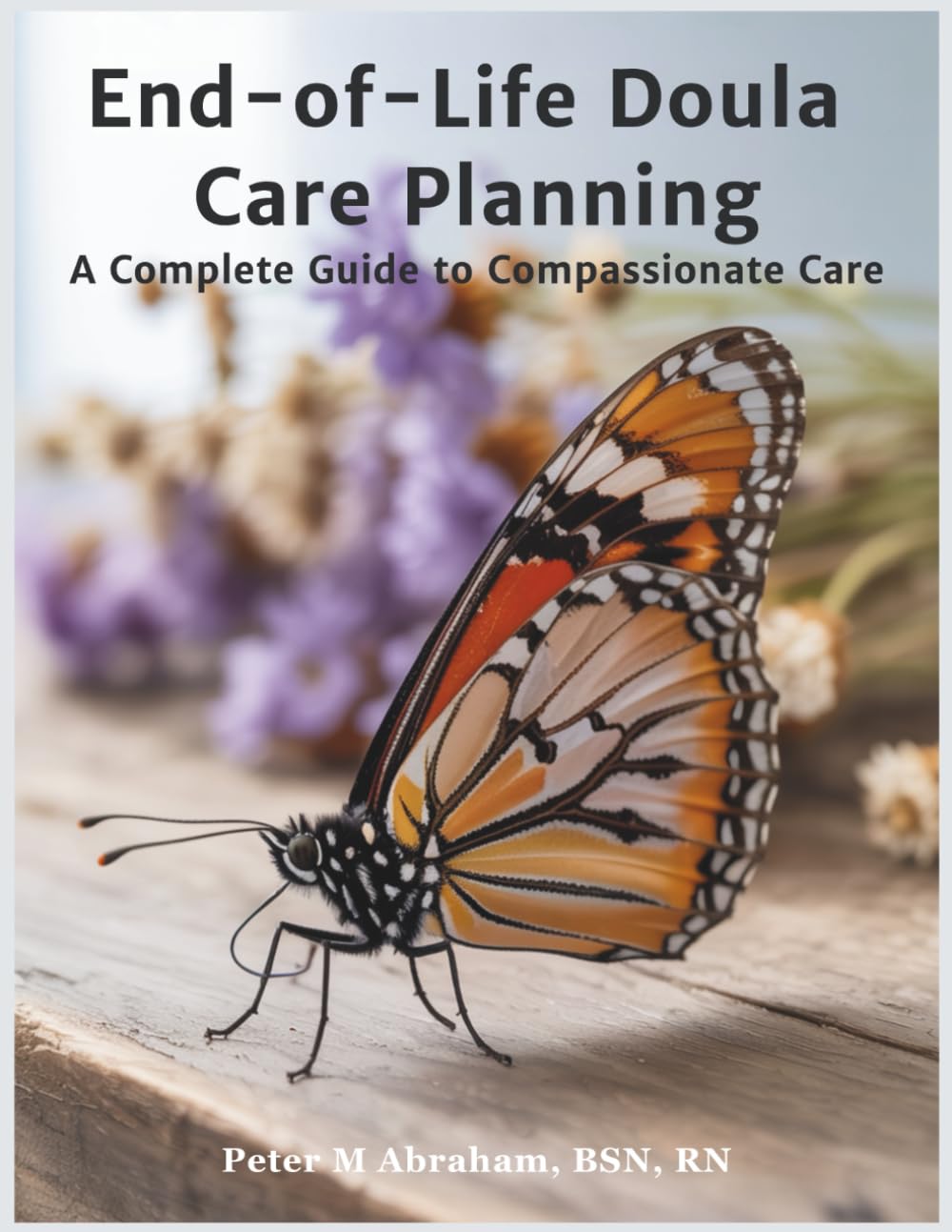 End-of-Life Doula Care Planning: A Complete Guide to Compassionate Care: 6 (Bridges to Eternity: The Compassionate Death Doula Path)