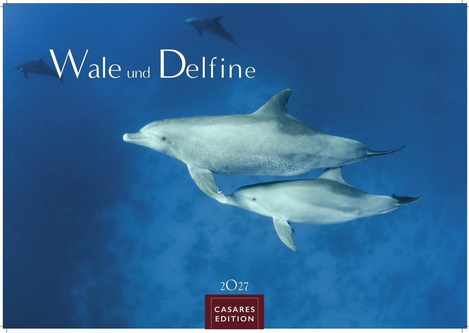 Wale und Delfine Kalender 2027 - Wandkalender | Fotokalender Tierkalender 35x50cm Grosses Format - Hochwertige Fotografien von Walen und Delfinen, die jeden Monat begeistern.
