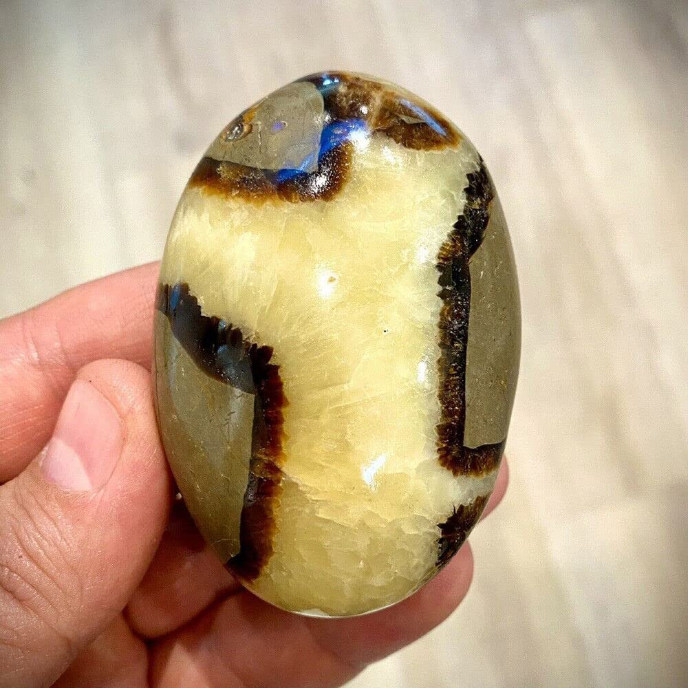 Amazon.co.jp: 天然水晶の原石 1pc セプタリアン クリスタル ドラゴン