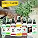 Repellente per formiche 100 ml | Disinfestazione Naturale dalle formiche I per...