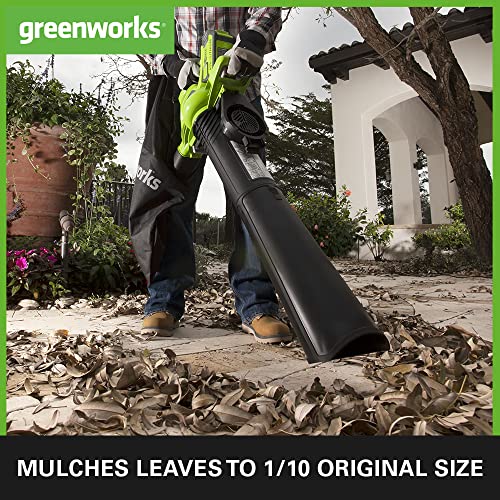 Greenworks Tools 24227 DigiPro Blower/Vac Review