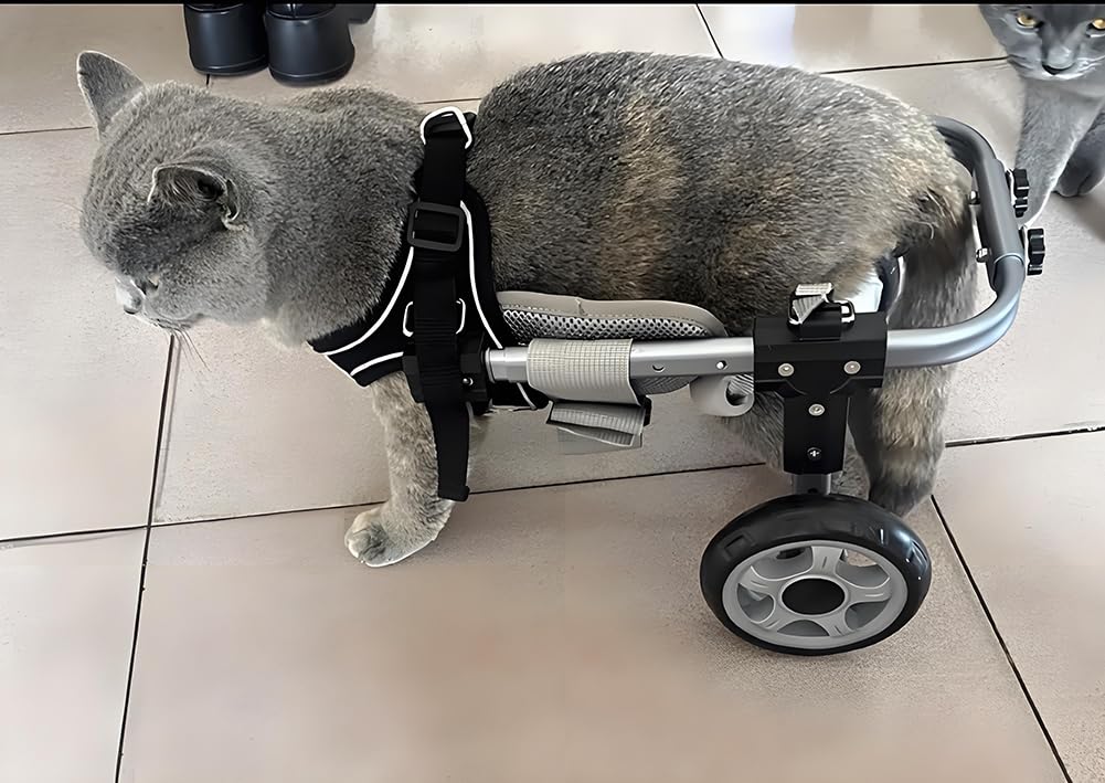 Dog Wheelchair for Small Medium Large Dogs, Adjustable 4-Wheel Mobility Aid, Lightweight Rehabilitation Brace (2 Wheels, L)