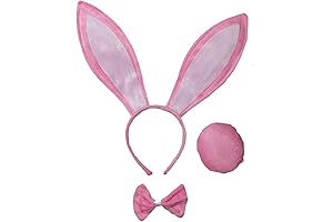 Lovely Bunny Ears and Tail Set for Your Little Princess