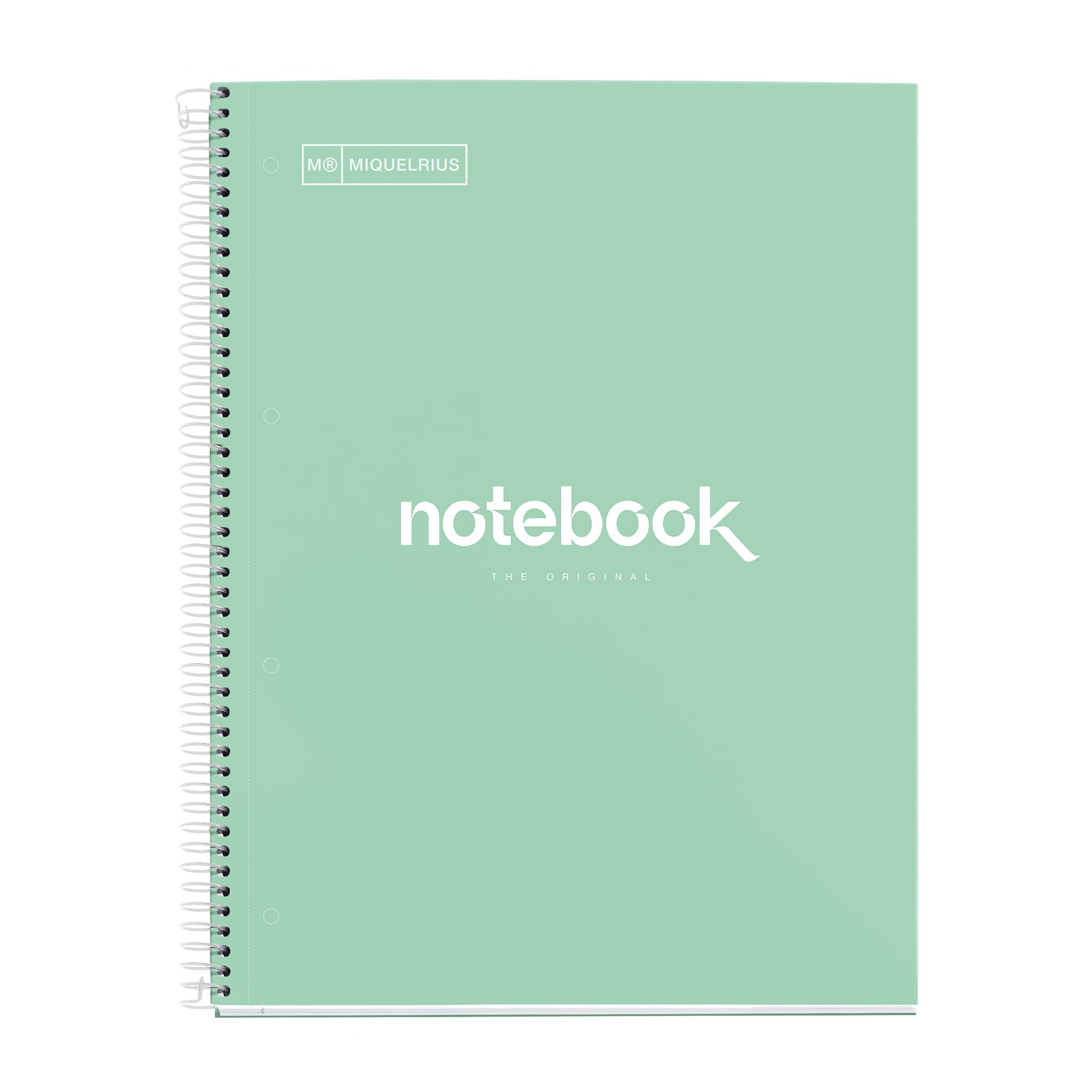 A4 Notebook Emotions, 80 Sheets 90 g/m², Dotted Ruled (Dots), 1 Colour Strip, Microperforated Spiral, Extra Rigid Cover, 4 Drills, Mint Green