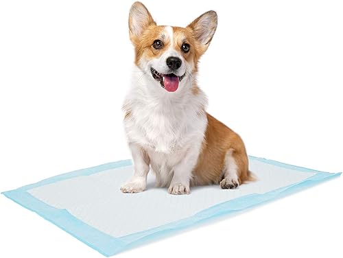 Bolux Almohadillas de entrenamiento para perros y cachorros, almohadillas desechables de 13 x 18 pulgadas, 100 unidades ultra absorbentes y a prueba