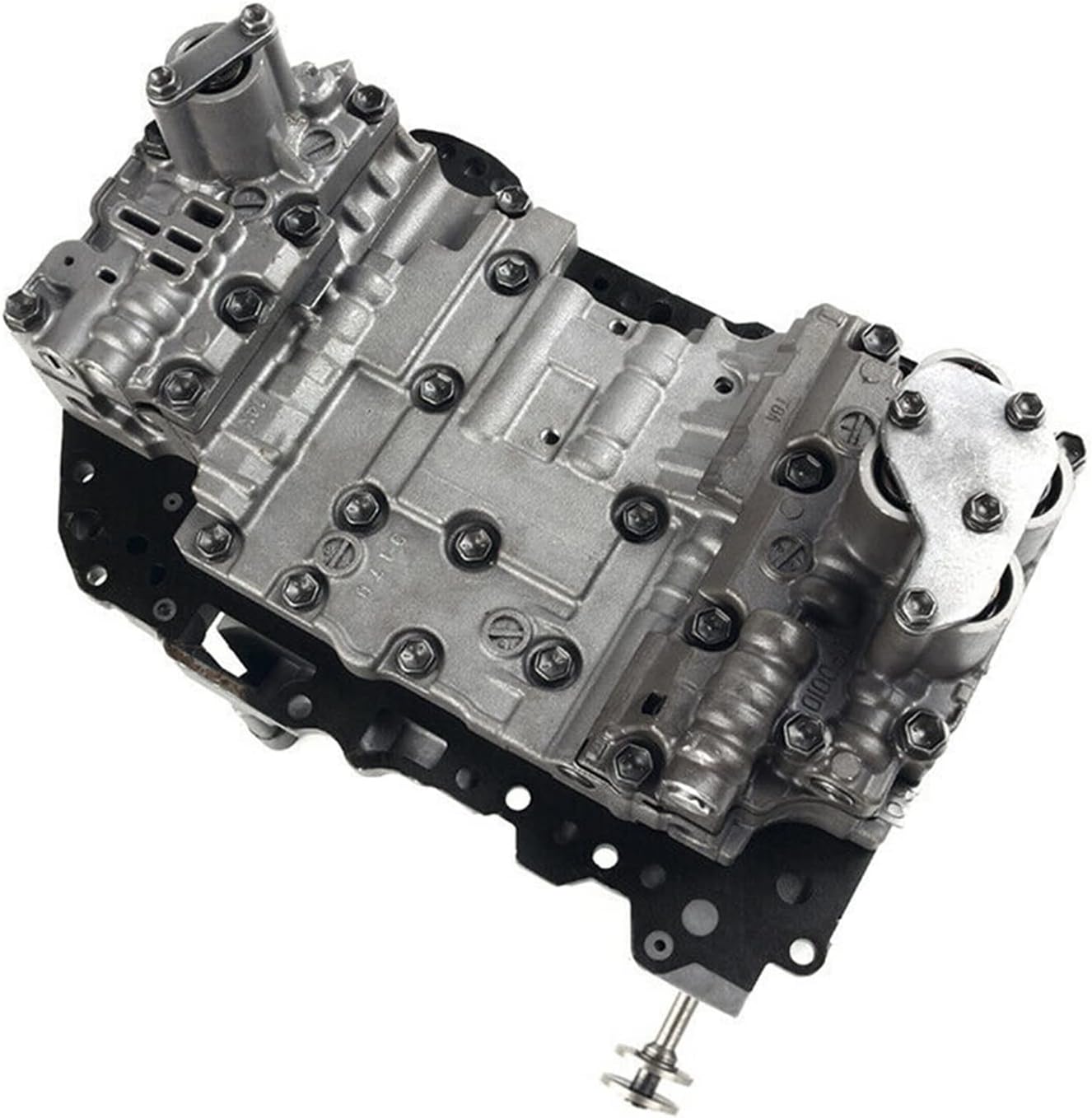 ダウラギリ産ポイント108-1 I ダウラギリ産 | 石垣島の夜光貝