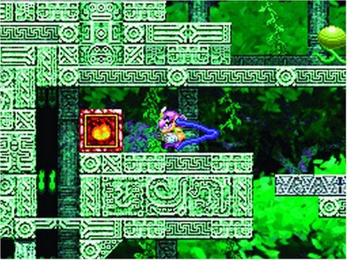 Wario: Master of Disguise - Nintendo DS (Renewed)