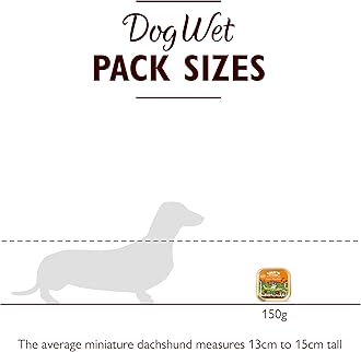 Lily's Kitchen Lean Machine Wet Dog Food Turkey/150G