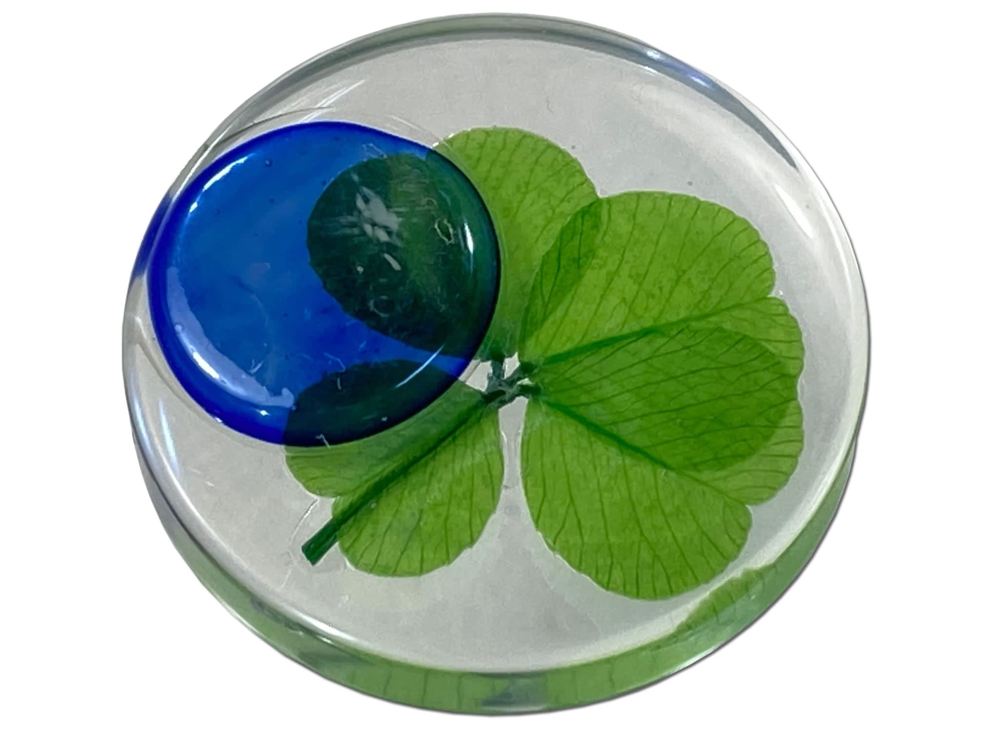 Real Four Leaf Clover Good Luck Pocket Token, Preserved, 3.2 cm, Including Glass Ornament (Colorful Ohajiki)