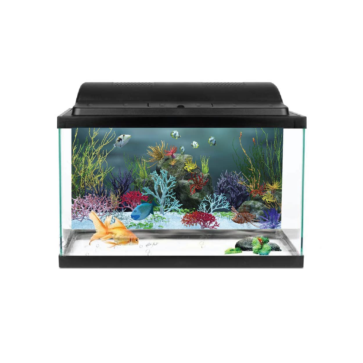 VVWV® Fish Aquarium Stickers Fish Tank Background Waterproof Vinyl Printed Multicolored Sticker (61 X 41 CMS) (B0BWFFPL73) Amazon Price History, Amazon Price Tracker