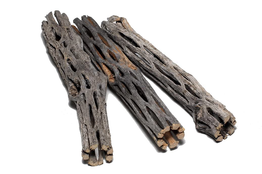 3 Pieces 5-6 inches Long Natural Cholla Wood for Aquarium Decoration by SoShrimp