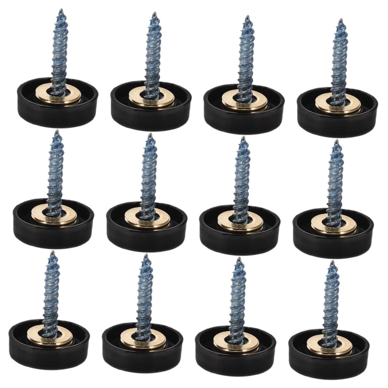 12 Pack Stainless Steel Mirror Fastening Screws with Decorative Caps