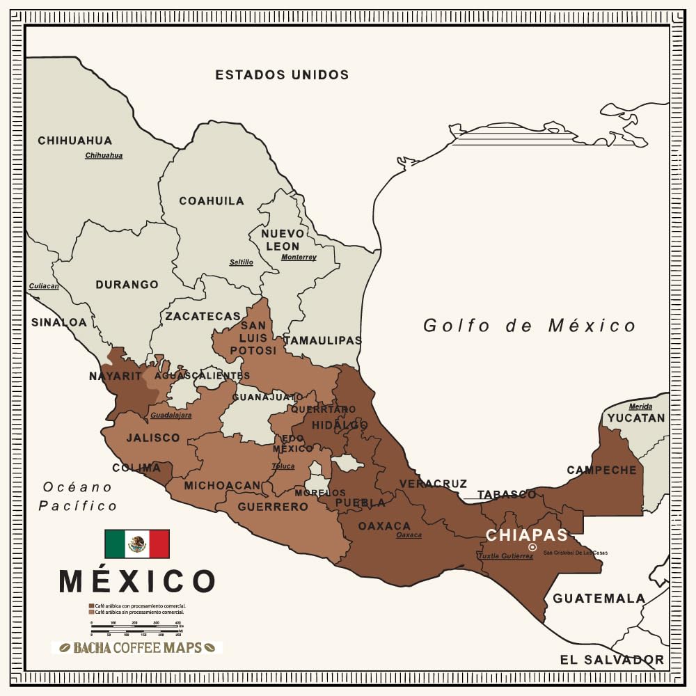 Bacha Coffee | El Flamingo Decaf Single Origin, Ground Beans, Medium Dark Roast, 100% Arabica Specialty Coffee, 250g Autograph Collection, Gift Box