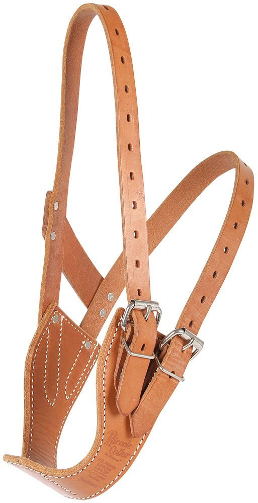 Weaver Leather Pencereli Kutuda Mucize Tasma