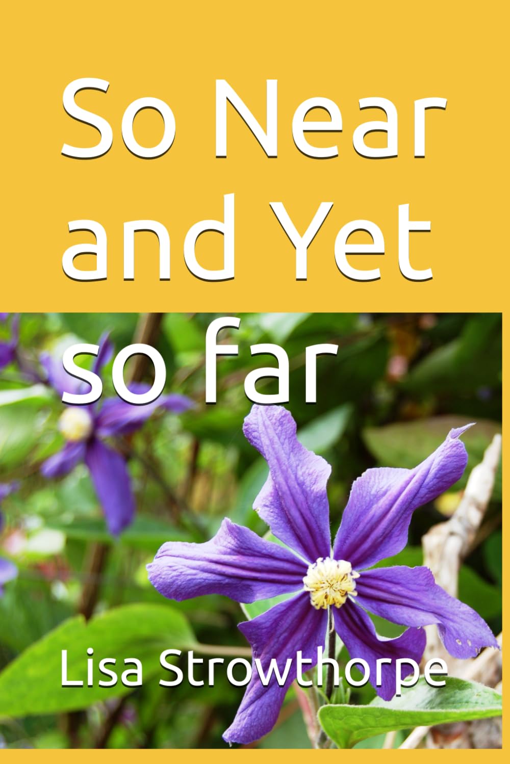 So Near and Yet so far