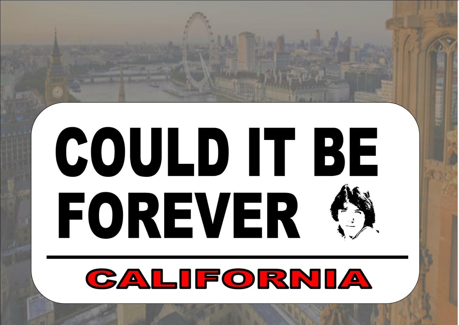 Yelacecca David Cassidy Novelty Reproduction Street Sign Could It Be Forever Wall Plaque Decoration Props Plaque 8X12 Inch