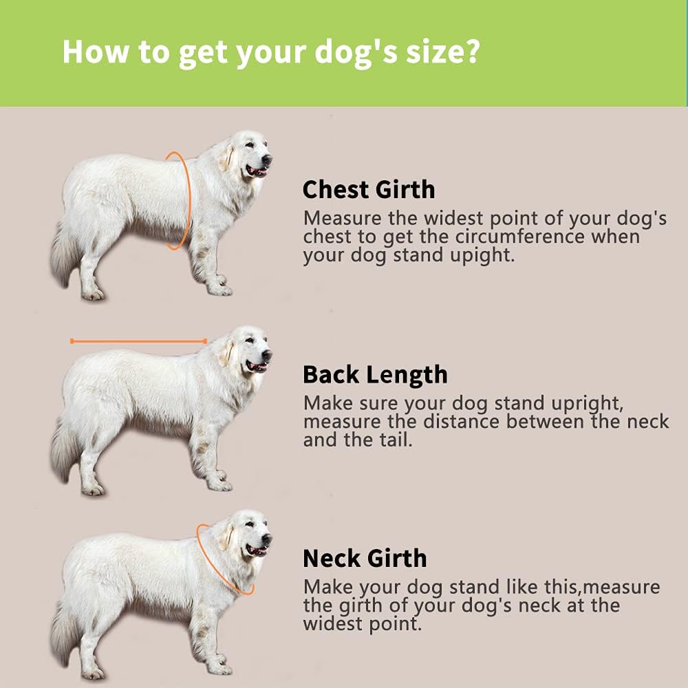 Snik-S Dog Life Jacket- Preserver with Adjustable Belt, Pet Swimming Shark Jacket for Short Nose Dog (Pug,Bulldog,Poodle,Bull Terrier,Labrador) (Green, Large)