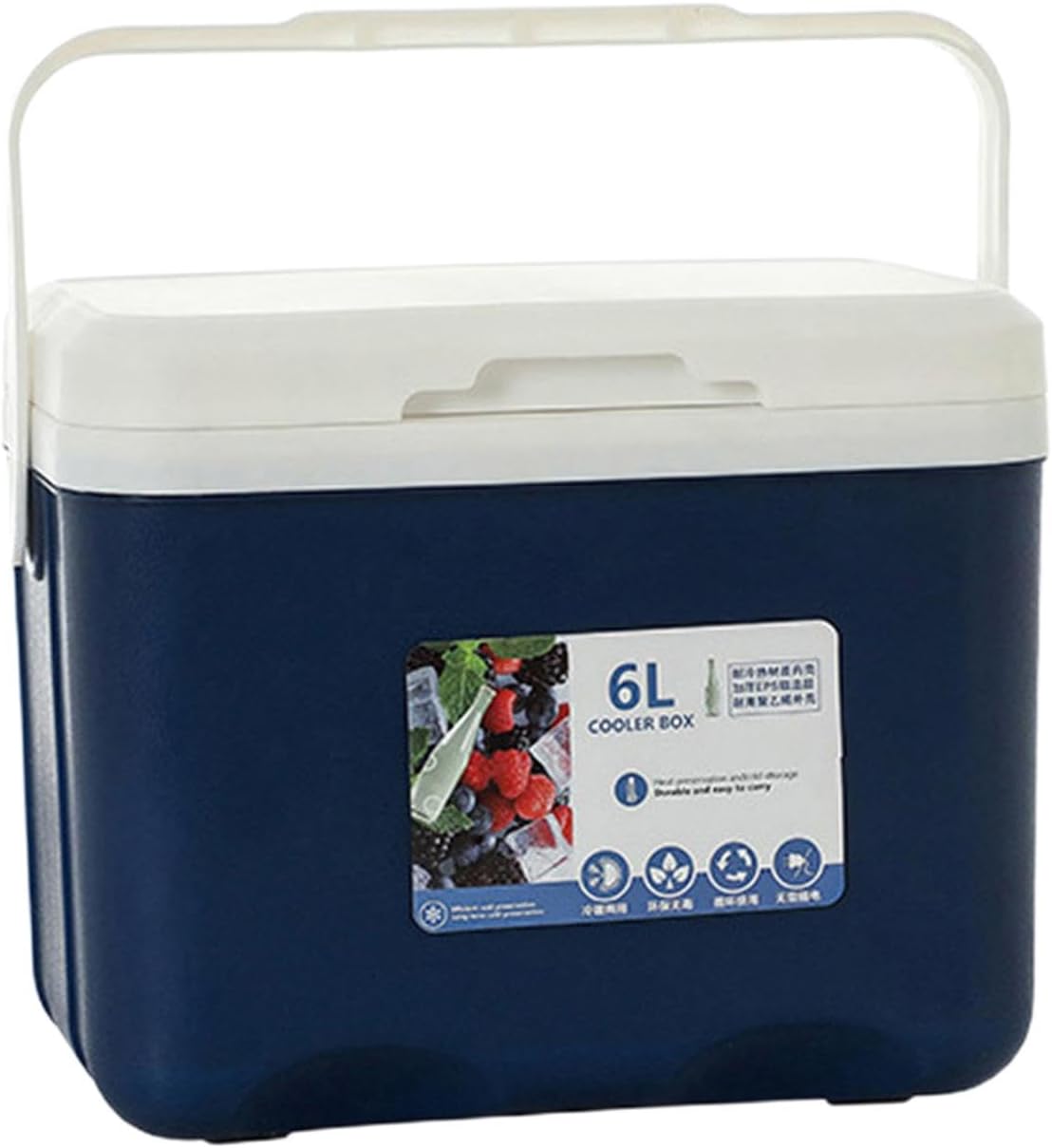 Cooler Box Ice Box 6L Personal with Handle for Freeze/Hot Food Ice Chest Small Insulated Box for Beach Camping Stall Outdoor
