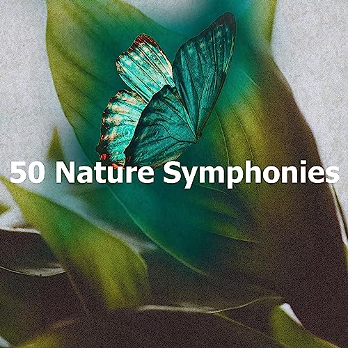 Play 50 Nature Symphonies by Sounds of Nature for Deep Sleep and ...