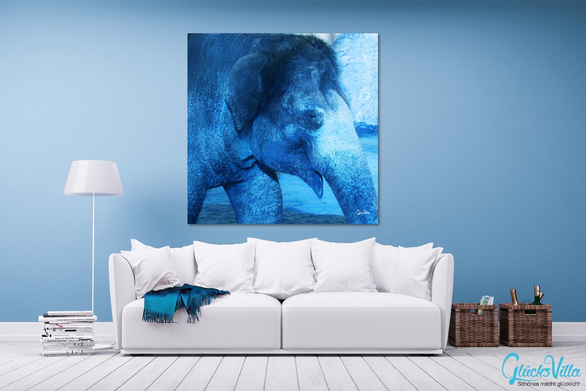 Glücksvilla - Der Elefant 1 - (Acrylglas-Bild 5 mm, 140 x 140 cm) | div. Maße - aus DE - Kunstdruck XXL Deko Wandbild Quadrat - Wildnis Afrika Natur Tier Fotografie