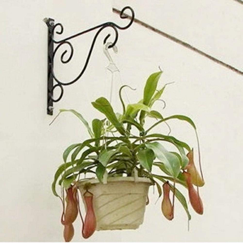 Gancio Da Parete In Ferro Per Piante - Decorativo Con Motivo Uccello, Per Giardino E Balcone