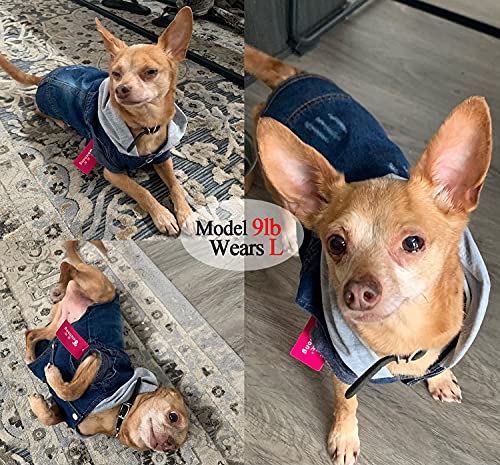 Pet Clothes Dog Jeans Jacket Cool Blue Denim Hoodie Coat, Puppy Clothing Shirt Costume, Doggy Vintage Washable Lapel Vest, Dog Classic T-Shirt Apparel For Small Medium Dogs Cats (Blue, Medium) #TOP2