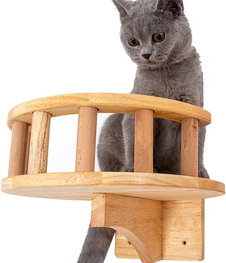 Amazon Com La La Pet Wood Cat Shelf Floating Cat Perch Cat Bed Cat Lounge Hammock Cat Condo Wall Mounted Cat Climb Play Furniture Pet Supplies Amazon Com La La Pet Wood Cat Shelf Floating Cat Perch Cat Bed Cat Lounge Hammock Cat Condo Wall Mounted Cat Climb Play Furniture Pet Supplies