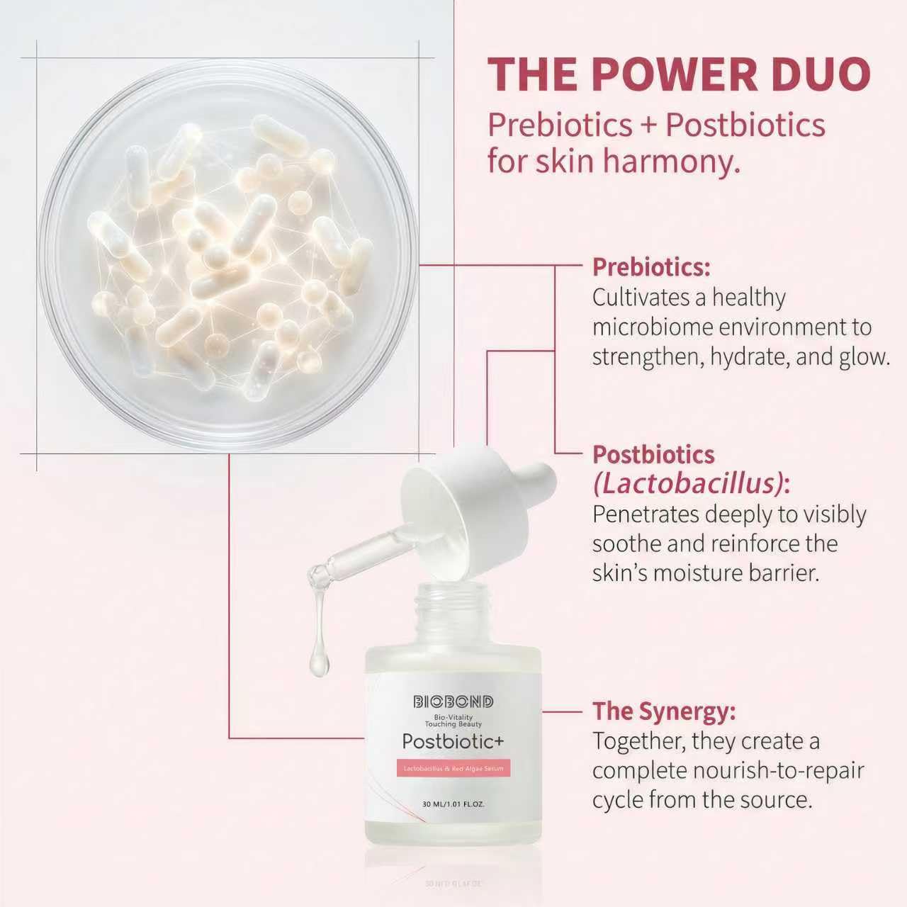 Lactic Acid Exfoliating Serum, For Gentle Resurfacing, Brightening, Hydrating, With Postbiotic Lactobacillus & Centella, Smooth Texture & Pore Minimizer Facial Booster, 1 Fl Oz