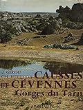  CAUSSES ET CEVENNES GORGES DU TARN