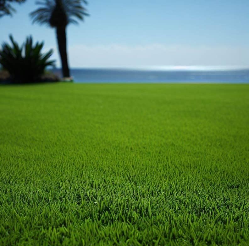 Miniatura 3 de MySeeds.Co - Bahía, Bermudas, Semillas de césped para césped y pasto, pastoreo de ganado, elige color y cantidad (14 libra, recubierto de Bahía