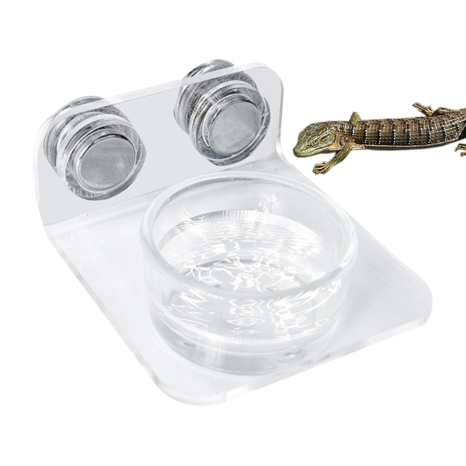 Mensola Mangiatoia Stazione Mangiatoia Rettili Cibo Ripiano Cibo | Vassoio Cibo , Lucertola, Serpente, Tartaruga, Rana, Camaleonte, Drago Barbuto, Iguana, Testuggine, Anolide, Scinco, Varano,
