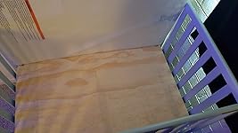 Review Image by Samantha Loreto