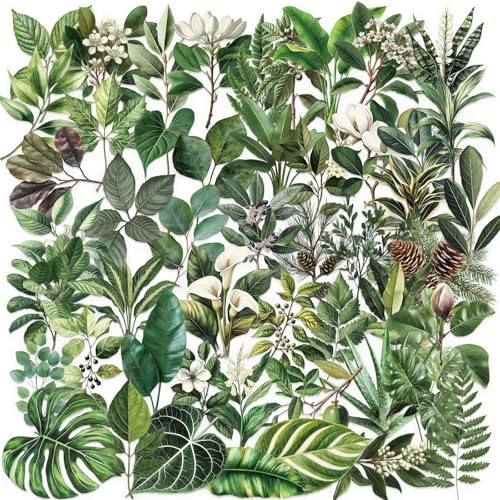 50pcs Transparent Green Leaf Sticker for Scrapbooking PET Nature Stickers Stickers Plant Craft Sticker for Journaling Clear Foliage Decals (LY)