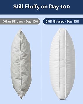 Standard Gusset Pillows Set of 2 - Bed Pillows for Sleeping - 20 x 26 | Down Alternative Bed Pillows for Back & Stomach Sleepers, Low Density, Low Loft Support, Soft & Machine Washable, OEKO-TEX