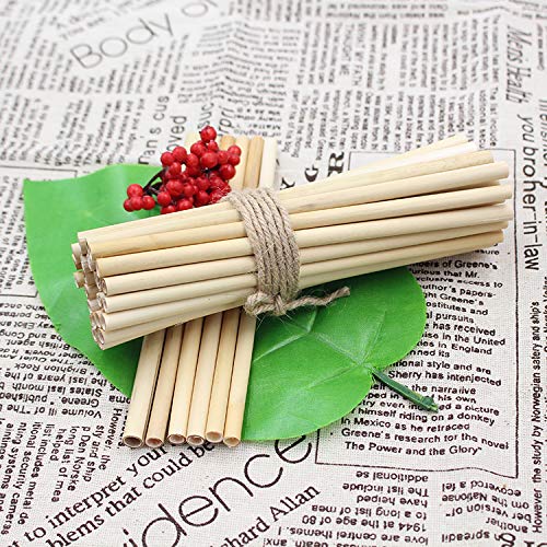 Boonboo Bamboo Straws, Reusable Drinking Straws, 16 Pieces #TOP3