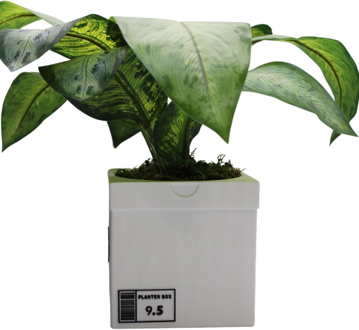 Sneakers Box Planter Pot 3D Printed - White Sneakers Box Decor- Plant Pot for Indoor Plants - Unique Planter for Indoor with Drainage Hole - Made in USA