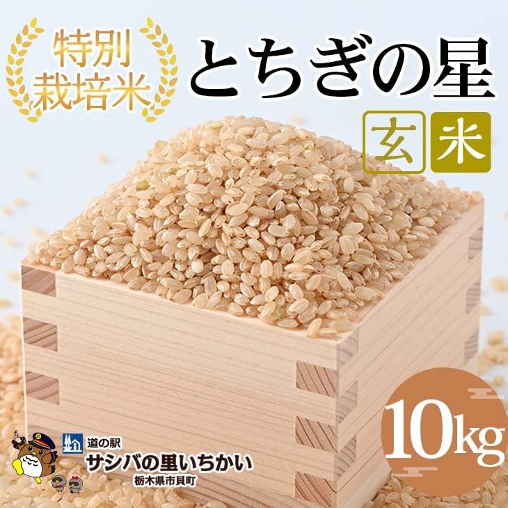 Amazon.co.jp: 特別栽培米 玄米〈とちぎの星〉10kg | 国産 栃木県産