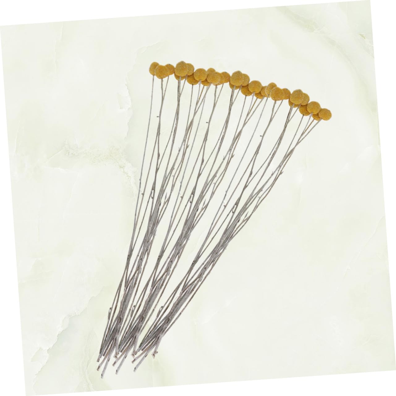VILLCASE 60pièces Bouquet Fleurs Séchées Craspedia Décoration Naturelle pour Mariage Maison Et Événements sans Entretien