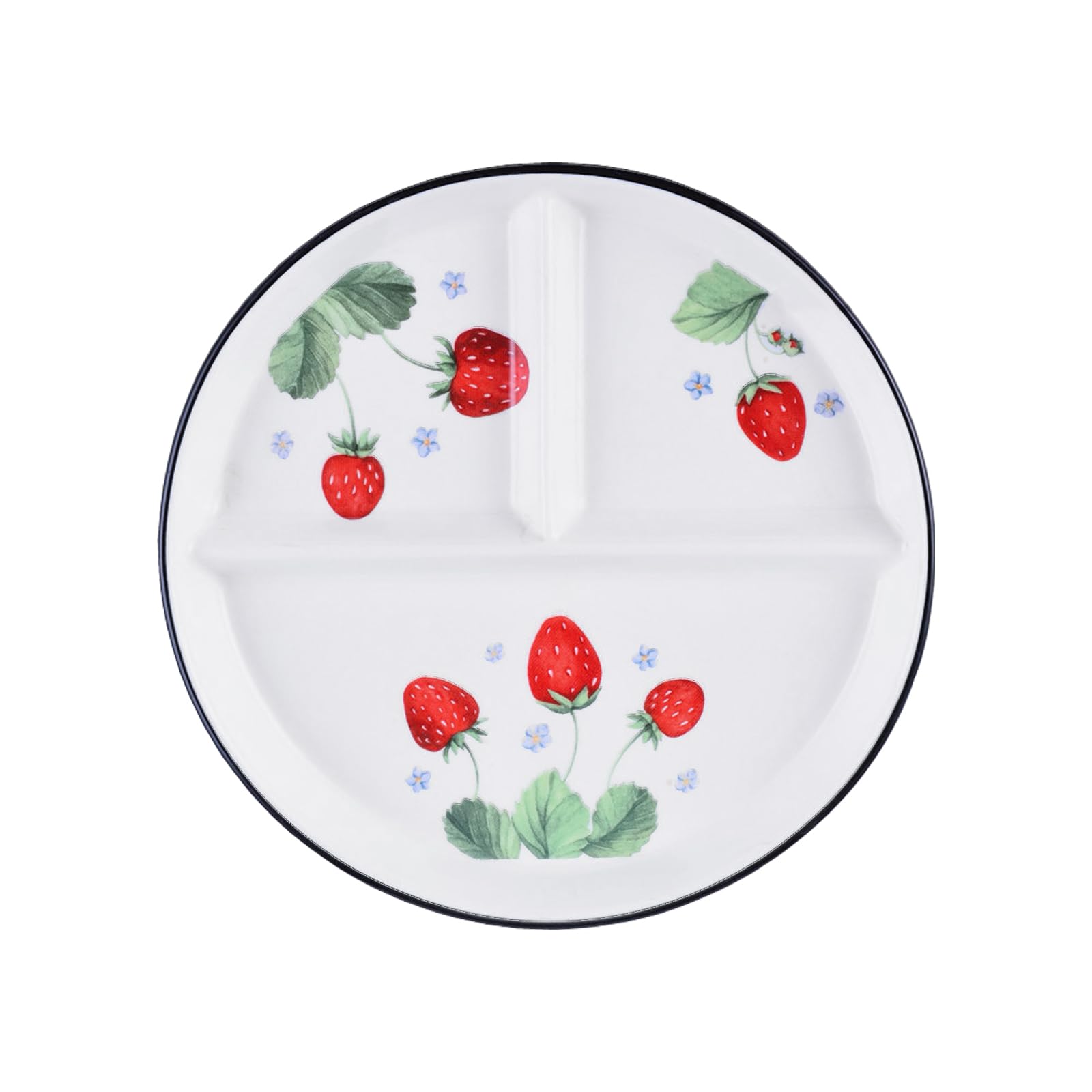 Hoshisea Assiette Compartiment Adulte Motif Poisson - Assiette à Sections Céramique Pour Repas Équilibrés