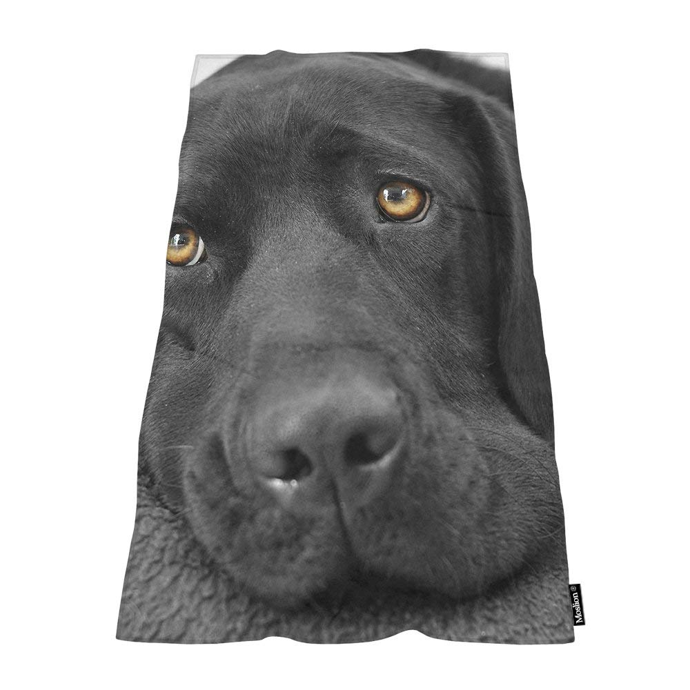 Moslion Soft Bath Towels Black lab Labrador Comfy Bathing/Beach/Camping Towel for Women Men Girls Boys Large Size 64x32 Inches