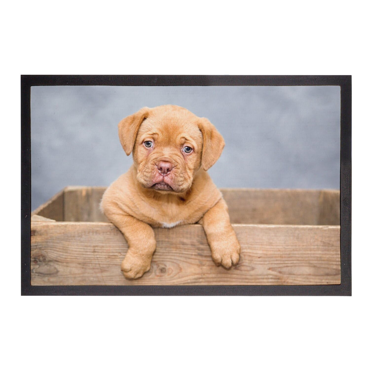Paillasson Chiot Dogue de Bordeaux pour garder les sols propres avec un motif mignon