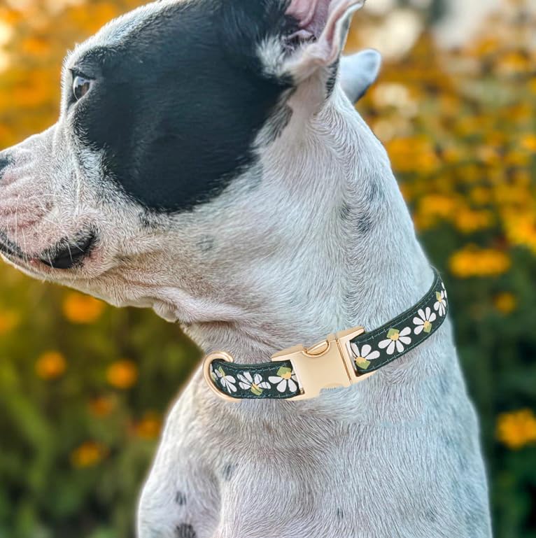 Petiry Woven Dog Collar with Metal Clasp-Chic Floral Patterned,Comfort Corduroy for Medium Male Dogs Neck 31-49cm,Green - Image 4