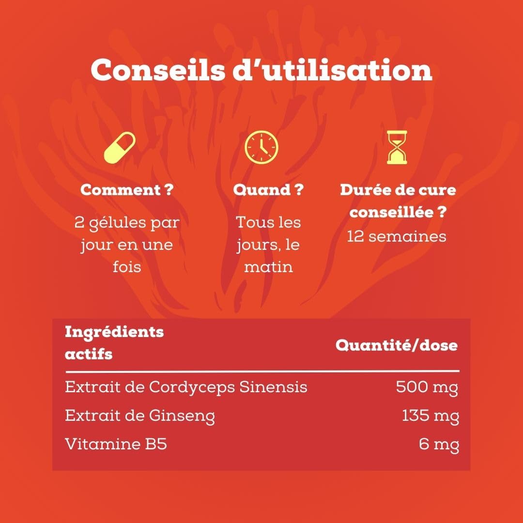 Cordyceps - Complexe Adaptogène Boost Energie & Libido - Avec Ginseng & Vitamine B5-56 Gélules Vegan - Sans Gluten ni Lactose