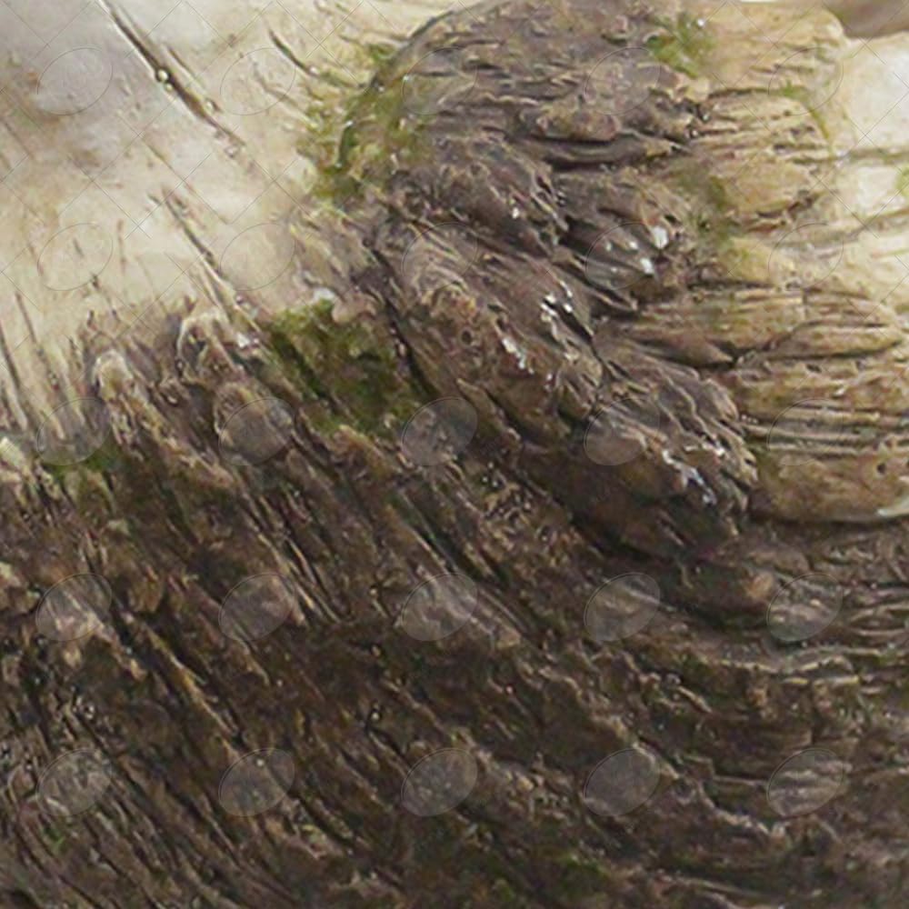 Red Carpet Studios Planter/Pot Cover Composite Indoor or Outdoor Flower Pot 3D Animal Garden Gift Planters, 4.25" Diameter, Singing Bird